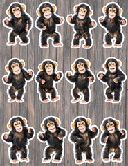 Dancing Monkey Die Cut Vinyl Stickers Set Scrapbooking Laptop Water Bottle
