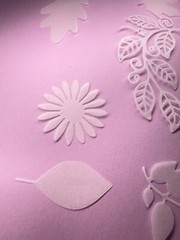 Botanical vellum die cuts, translucent leaves and flowers for cards,scrapbooking
