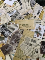 NEW 20 PACKS Lot Junk Journal Scrapbook Ephemera
