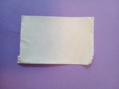 vintage 90’s Smilemakers Triceratops dinosaur sticker module *damaged*