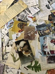 NEW 20 PACKS Lot Junk Journal Scrapbook Ephemera