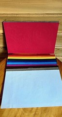 Craft Lot of 23 Die Cuts New and Used Color Variety