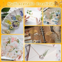 Pressed Dried Flowers for Resin Crafting, Natural Preserved Petals & Leaves f…