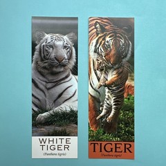 Vintage 90s For The Love Of Cats Tiger Cubs Cheetah Bookmark Lot – read Desc