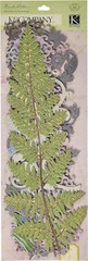 K&Company Brenda Walton Flora & Fauna Swirl Adhesive Borders