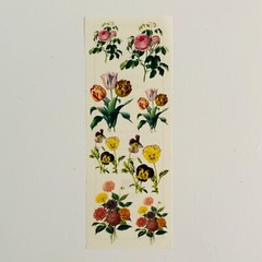 Anna Griffin Decorative Papers Sticker Collection