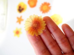 Q-Lia Japanese Gold Foil Flowers Stickers/Pack of 40/ Yellow