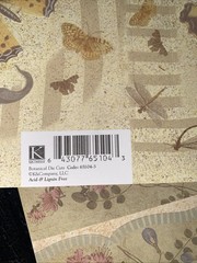 Scrapbooking 43 Piece Lot Pages Stickers K&Company New
