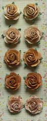 FLORET COLLECTION SUNSHINE GOLD – 10 Pk 25-30mm Across Paper Roses PRIMA 2017Fr