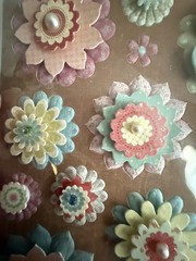 K and Company floral three dimension Stickers Sheet Scrapbooking Card stock NIP