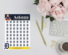 Detroit Tigers Planner Stickers