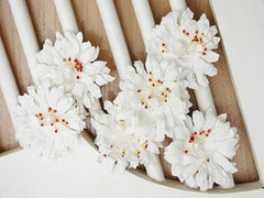 SUNFLOWER / GERBERA 6 Pack WHITE with Centre – PAPER – 50-55mm Manor House ConB