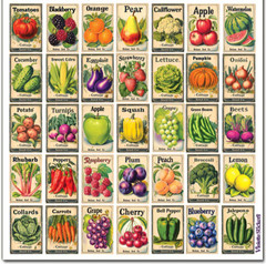 Violette Stickers Mini Seed Packet Fruits & Veggies Crafts Planner Supply