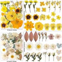 269PCS Dried Pressed Flowers for Resin Craft – YouthBro Real Nature Flowers S…