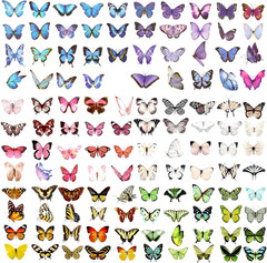 240PCS Butterfly Stickers, PET Waterproof Transparent Colorful Resin Decals Deco