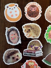 STICKERS x 10 Hedgehogs SASSY Cute Baby Hedgehog Sticker Book Love Flowers HO4