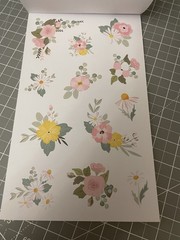 Amber Plans Her Day Doodled Florals Sticker Book 857 Planner Stickers 30 Pgs