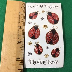 Ladybug Fly Away Home SCRAPBOOK Stickers