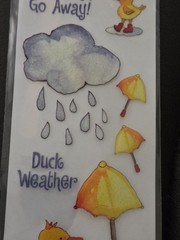 Vintage 2005 Jolees Boutique Duck Weather Dimensional Stickers EK Success New