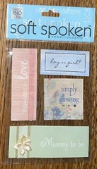 Soft Spoken MOMMY TO BE Mom Showered In Love Pregnant Pregnancy Glowing Boy Girl