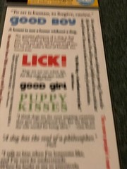 AMERICAN TRADITIONAL DESIGNS LIL’ MESSAGES ‘WOOF MESSAGES’ 20PCS