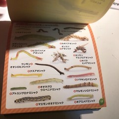 Japanese Caterpillar Stickers book 250 Stickers Shogakkan NEO
