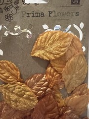 autumn fall sticker and decor lot Jolee, Paper House, K&C company scrapbooking