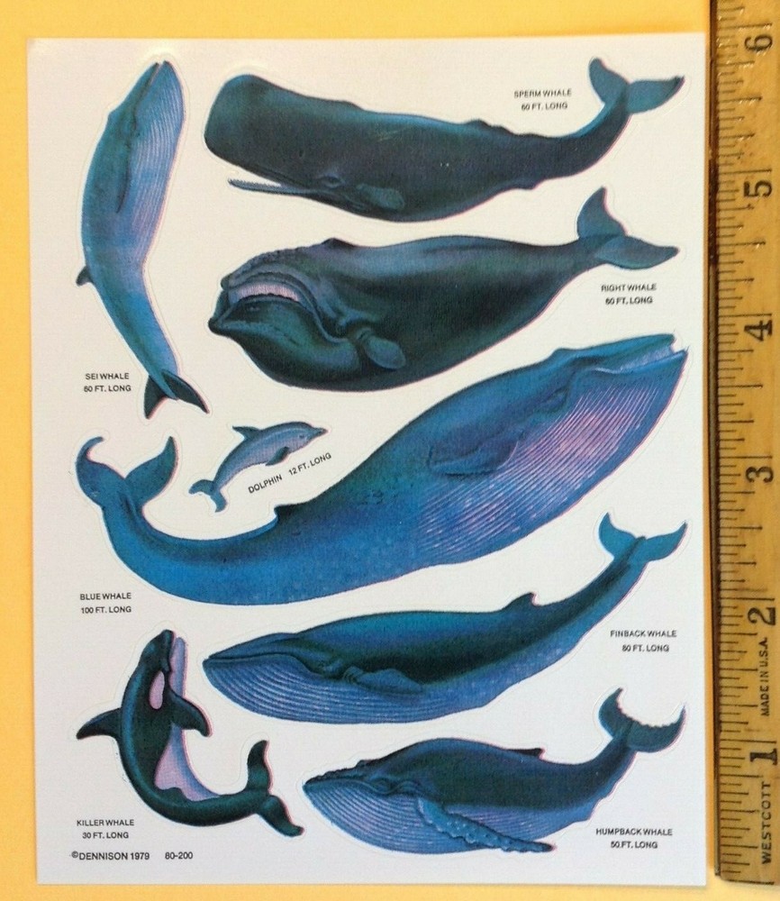 Vintage 1979 Dennison Sticker Sheet Sperm Sei Blue Killer Humpback Finback Whale