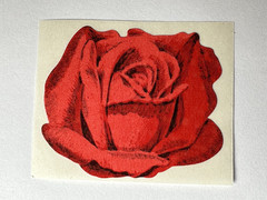 3M All About Series Scratch and Sniff ROSE Label/Sticker NOS Vintage 1974