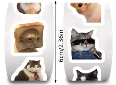 50 Mini Cute Cat Meme Stickers – Kitty Decals Phone Water Bottles Laptops