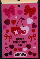 RECOLLECTIONS VALENTINE’S DAY STICKER BOOK 261 PC STICKERS 12 SHEETS ROMANCE