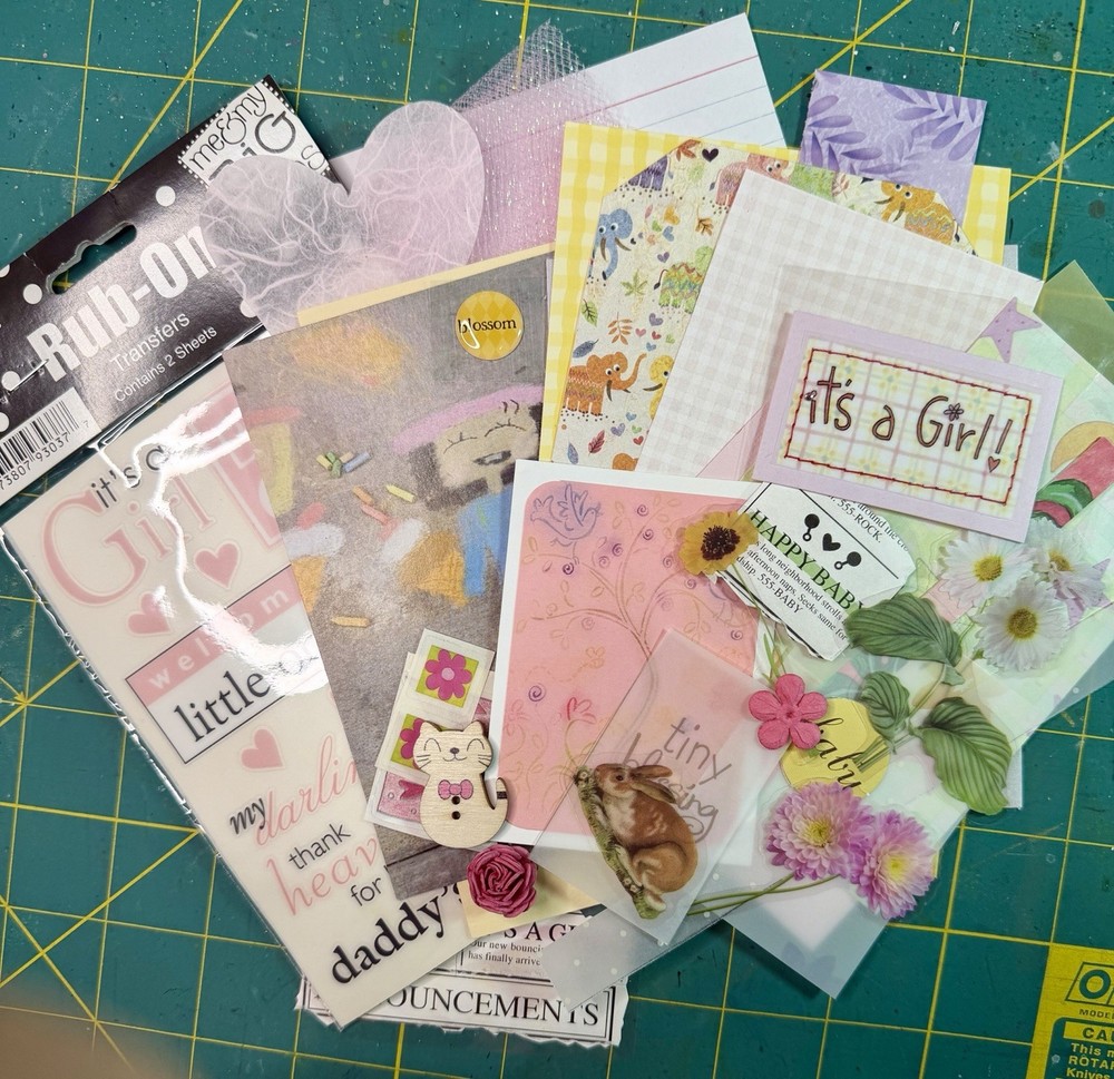 50+ pcs Ephemera Lot Junk Journal Scrapbook Collage Baby Girl Themed