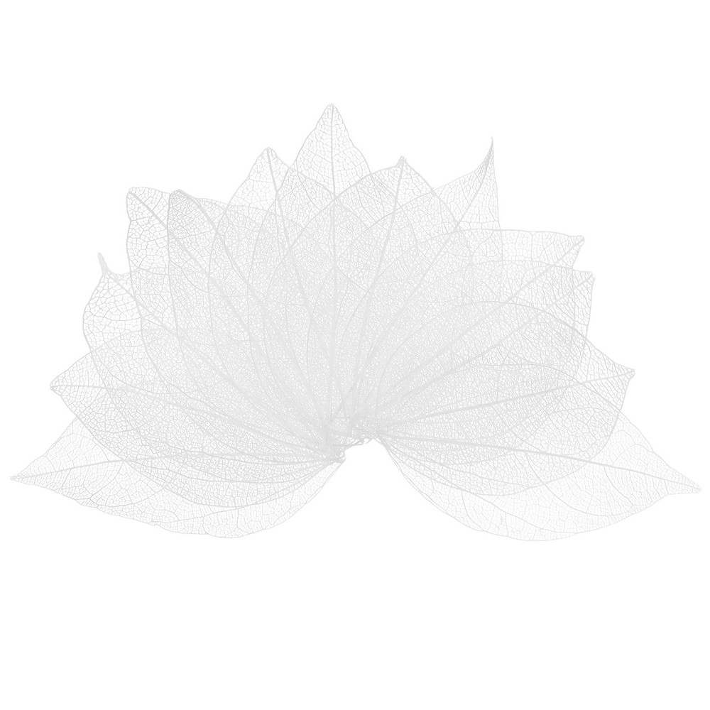 200-Pack Skeleton Leaves, Natural Rubber Leaves Vein[4-6cm, White]