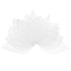 200-Pack Skeleton Leaves, Natural Rubber Leaves Vein[4-6cm, White]