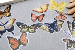 yellow butterfly sticker | yellow black butterfly beautiful themed PET