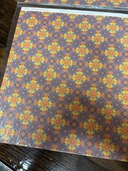 2 PACKS Close To My Heart Scrapbooking paper sheets My Reflections Viva CB20131