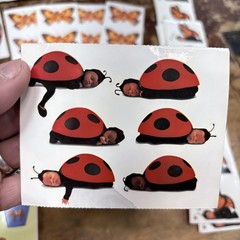 Lot 20 Sheets Anne Geddes Baby Scrapbook Stickers! Cactus Butterfly Flower