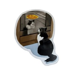 52 NEW Stickers Cat Kitty Cute Funny Stickers Decal Journal Laptop Water Bottle
