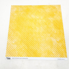 Jillibean Design Scrapbook Paper Lot 12×12 10 Sheets Double Sided