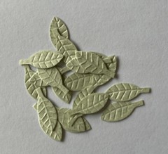 LIGHT GREEN BIRCH LEAF Die-cut Embellishment(20pc)Jolees •Garden•Christmas•Stem