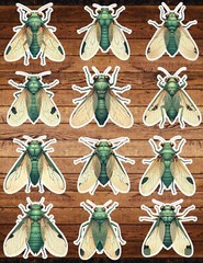 Cicada Beetle Bug Die Cut Vinyl Sticker Set Scrapbooking Laptop Waterbottle