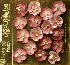 Forget Me Nots ANTIQUE ROSE 16 Paper Flowers 20mm across Penny Lane Petaloo XC