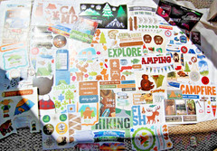 Huge lot misc stickers CAMPING camp tree tent fire lantern bear hike bigfoot