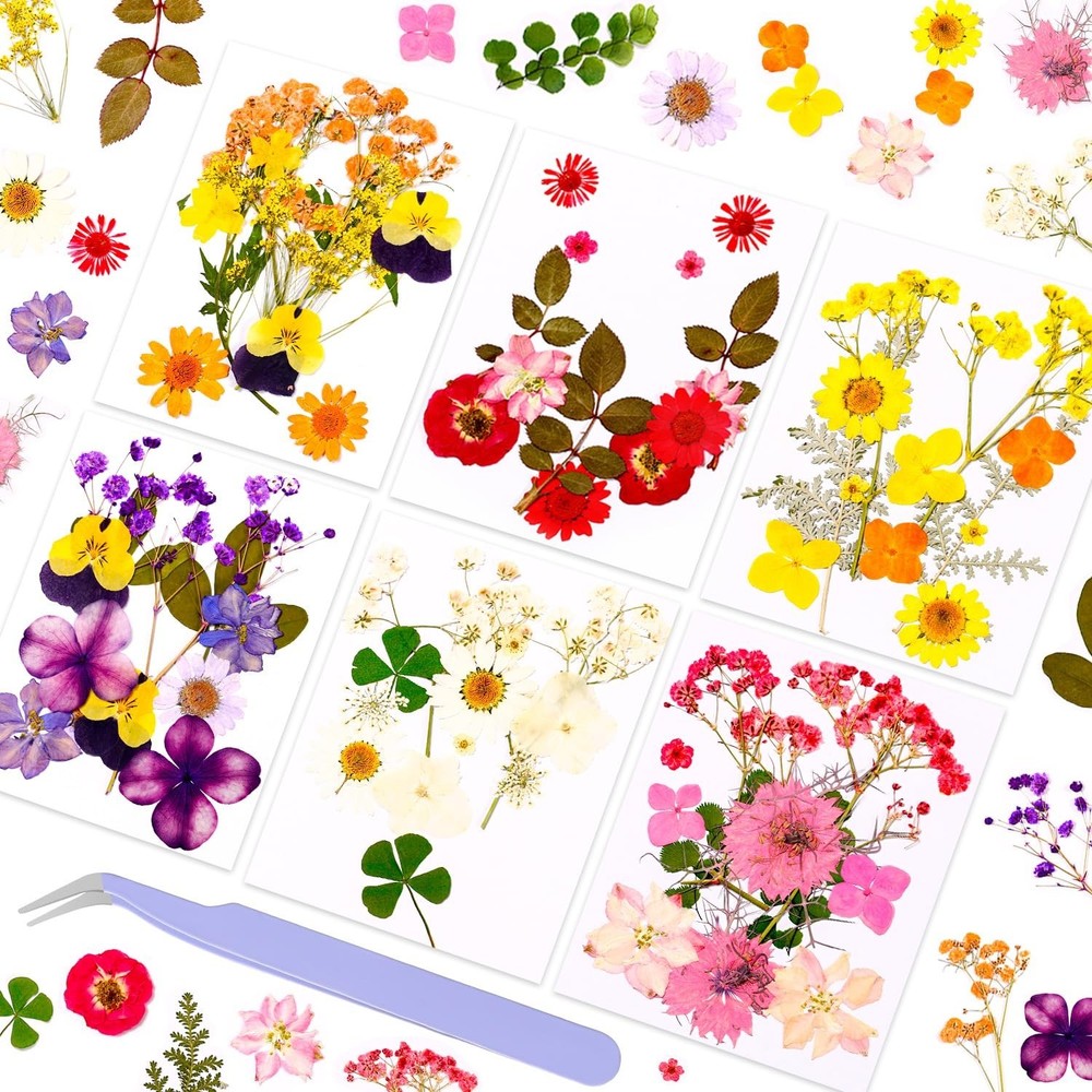 Pressed Dried Flowers for Resin Crafting, Natural Preserved Petals & Leaves f…