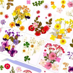 Pressed Dried Flowers for Resin Crafting, Natural Preserved Petals & Leaves f…