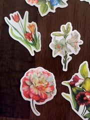 STICKERS x 10 Flowers Roses Poppy Gardenia Orchid Tulip Poppy Flower FL5