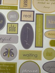 THERE ARE SOME THINGS Stickers(37pc)ChatterBox •Memories•Phrase•Real•Card Making