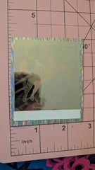 Vintage Scholastic Holographic Hologram Book Plate Sticker Tiger READ
