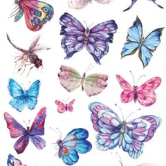 Violette Stickers – Watercolor Butterfly – 1 Sticker Sheet for Scrapbooking