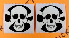 Skull & Crossbones Stickers Set Of 8